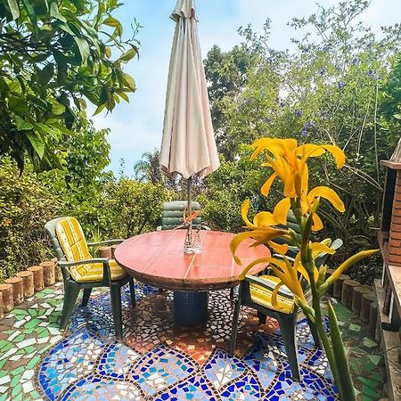 Canarian Cottage With Terrace Surrounded By Garden - Alisios 拉奥罗塔瓦 外观 照片