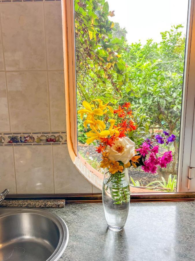 Canarian Cottage With Terrace Surrounded By Garden - Alisios 拉奥罗塔瓦 外观 照片