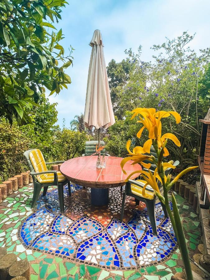 Canarian Cottage With Terrace Surrounded By Garden - Alisios 拉奥罗塔瓦 外观 照片