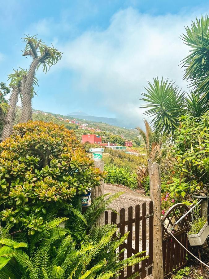 Canarian Cottage With Terrace Surrounded By Garden - Alisios 拉奥罗塔瓦 外观 照片
