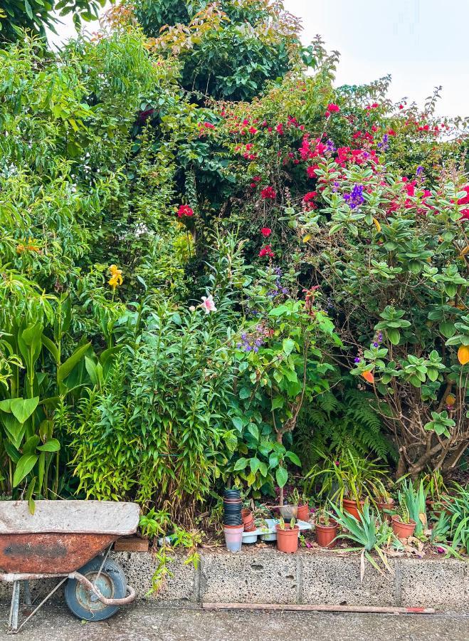 Canarian Cottage With Terrace Surrounded By Garden - Alisios 拉奥罗塔瓦 外观 照片