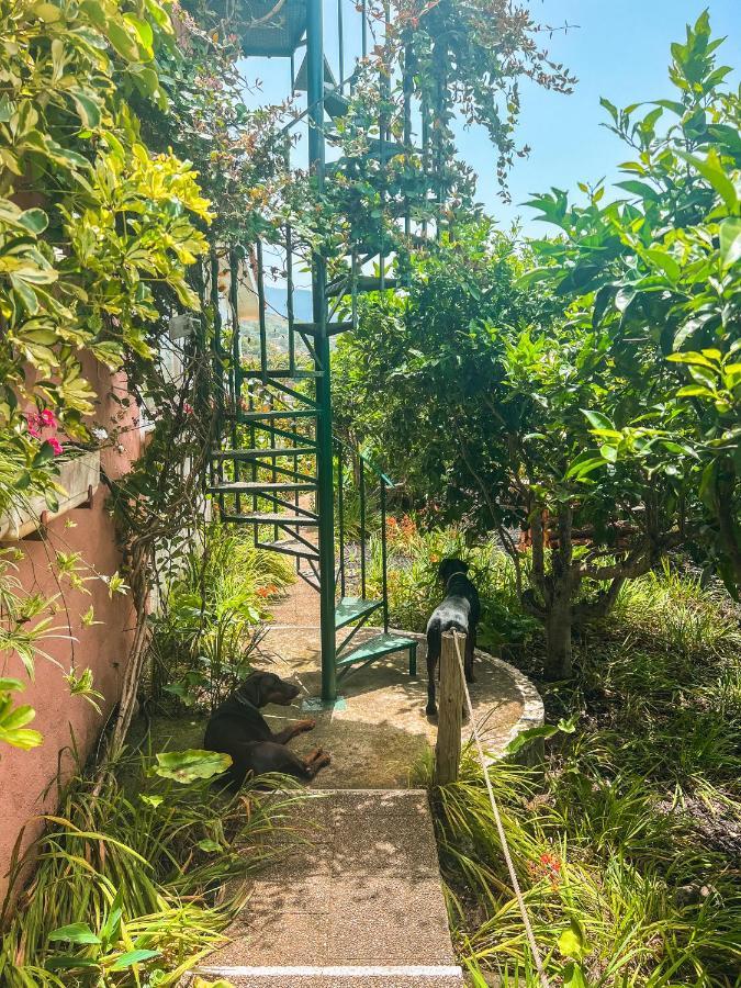 Canarian Cottage With Terrace Surrounded By Garden - Alisios 拉奥罗塔瓦 外观 照片