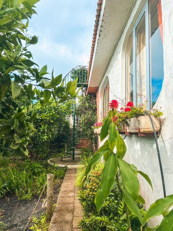 Canarian Cottage With Terrace Surrounded By Garden - Alisios 拉奥罗塔瓦 外观 照片