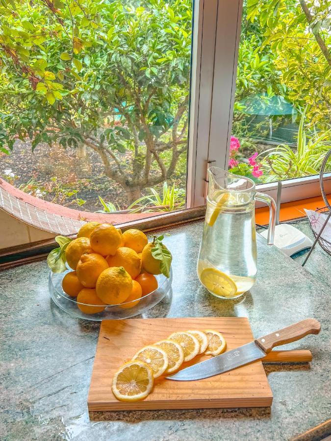 Canarian Cottage With Terrace Surrounded By Garden - Alisios 拉奥罗塔瓦 外观 照片