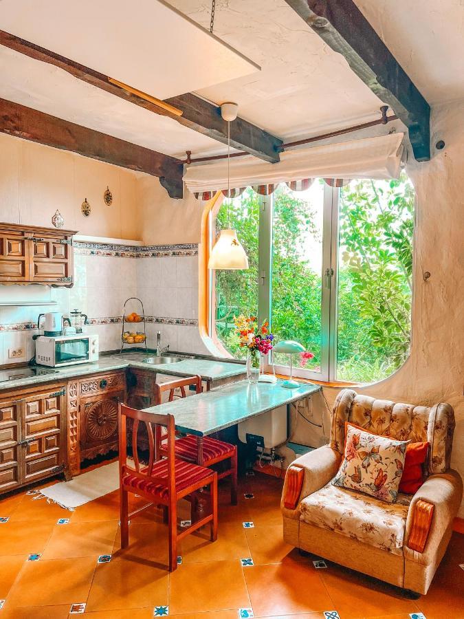 Canarian Cottage With Terrace Surrounded By Garden - Alisios 拉奥罗塔瓦 外观 照片