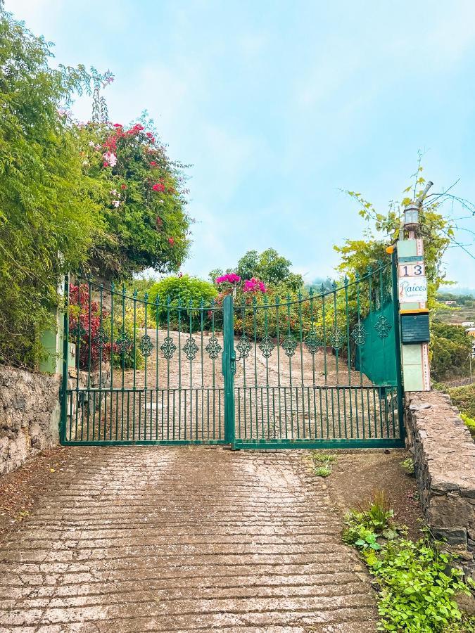 Canarian Cottage With Terrace Surrounded By Garden - Alisios 拉奥罗塔瓦 外观 照片